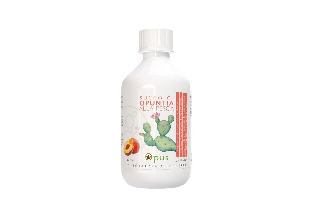 Opuntia - immagine 2