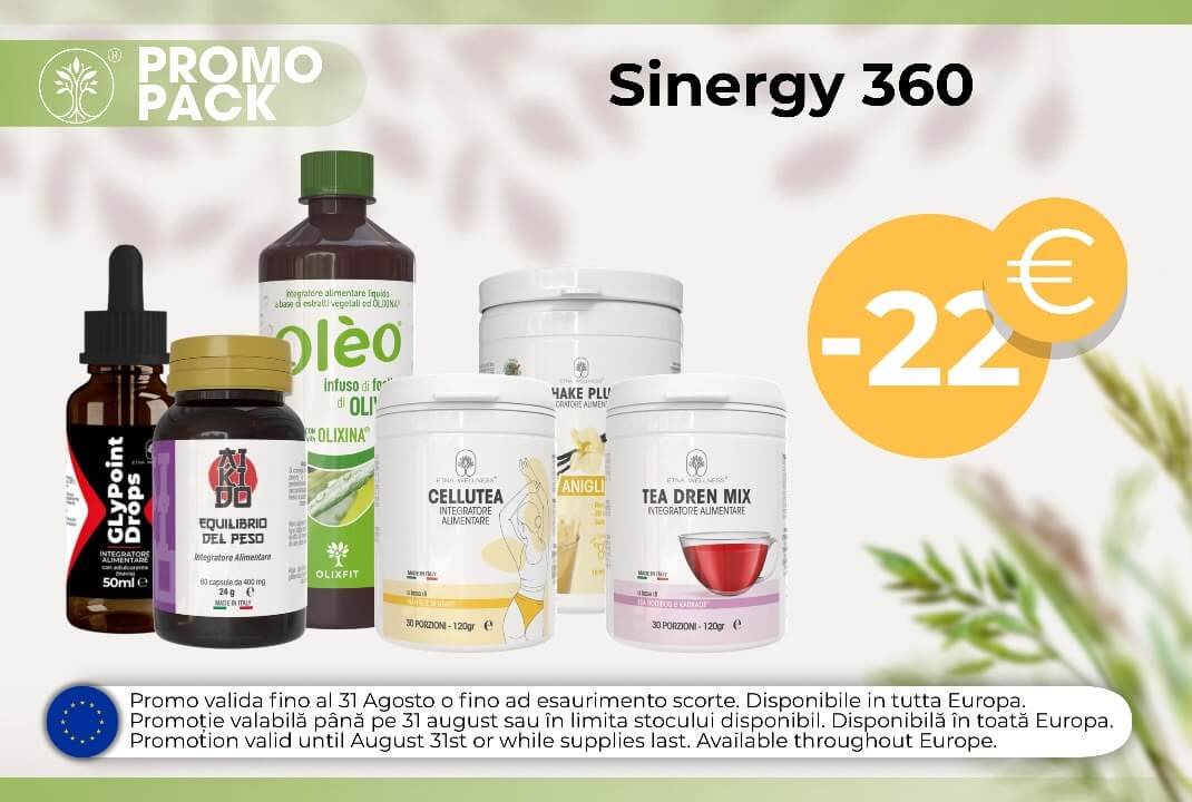 SINERGY 360